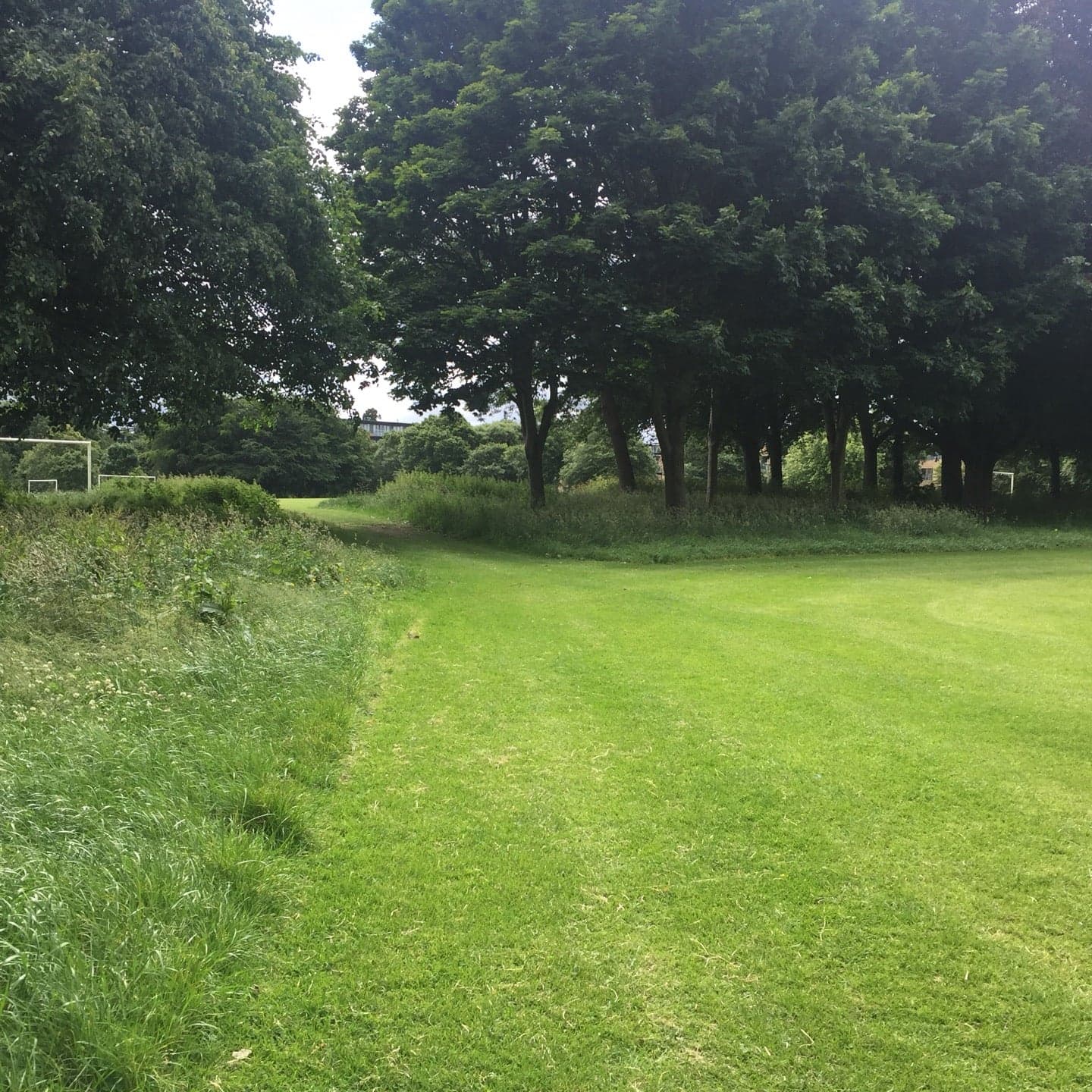 Bushy Park 6