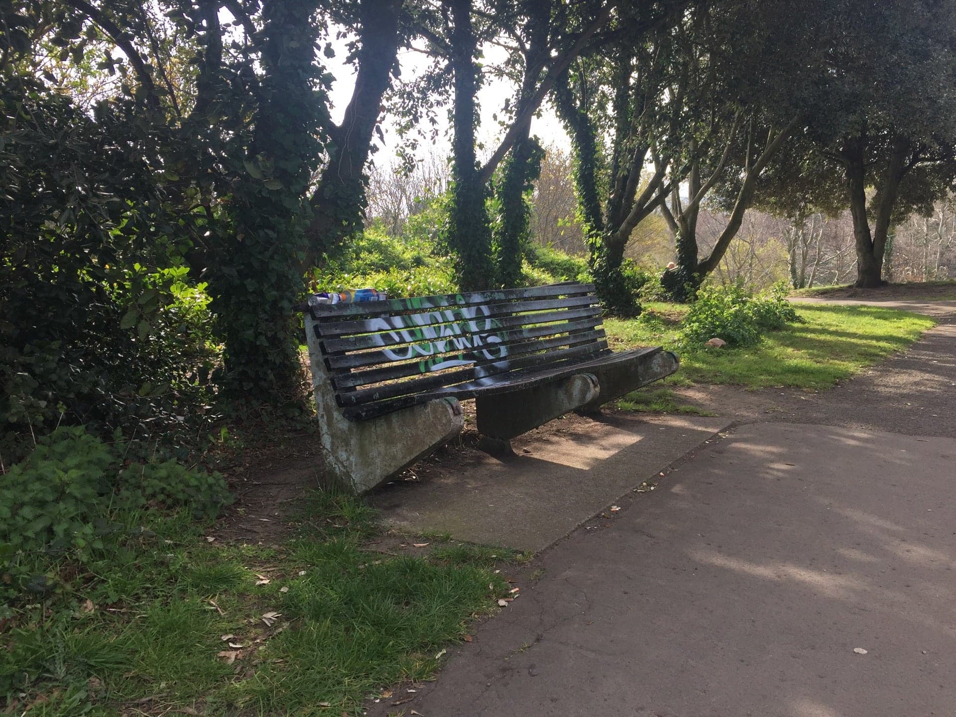Bushy Park 8