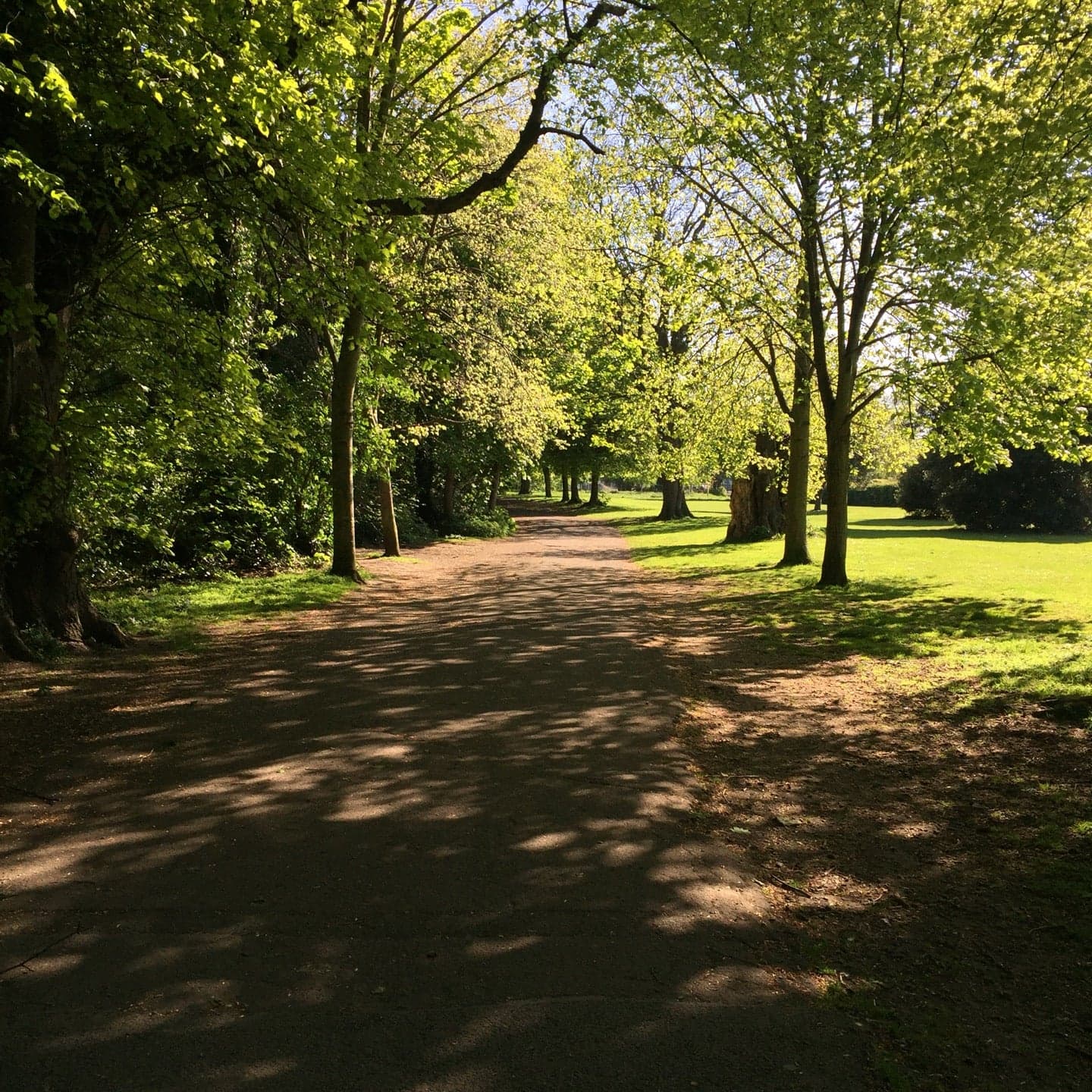 Bushy Park 1