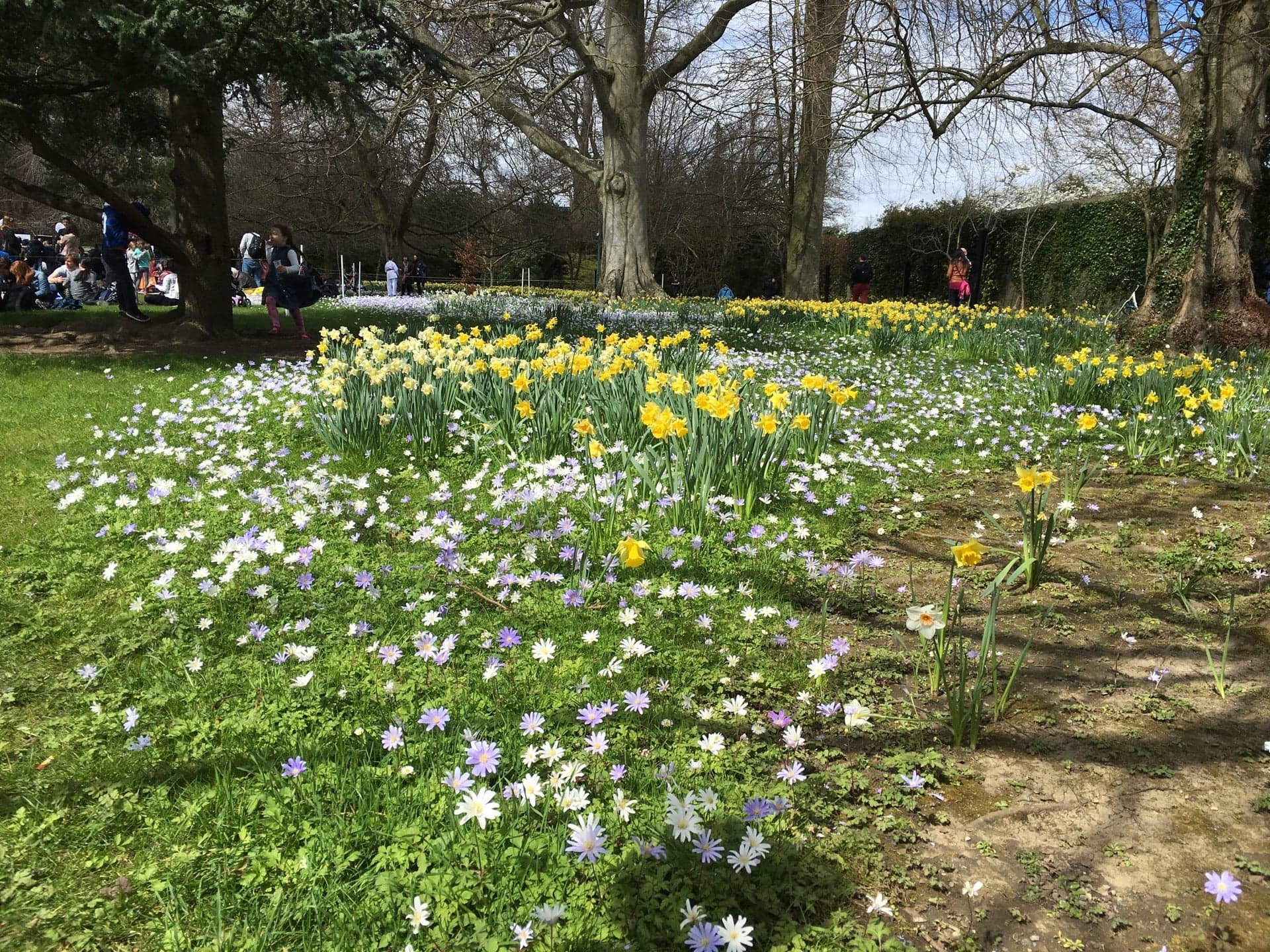 Farmleigh House & Estate 6
