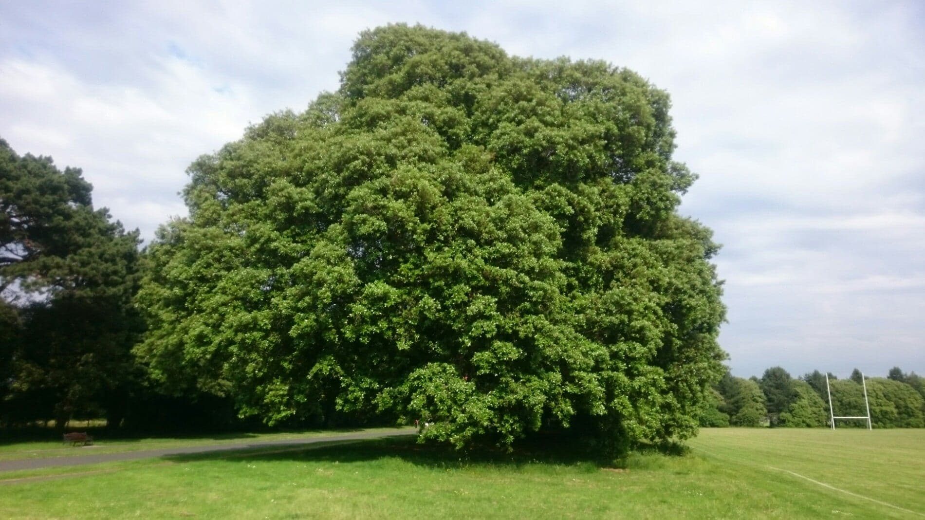 St. Anne’s Park 10