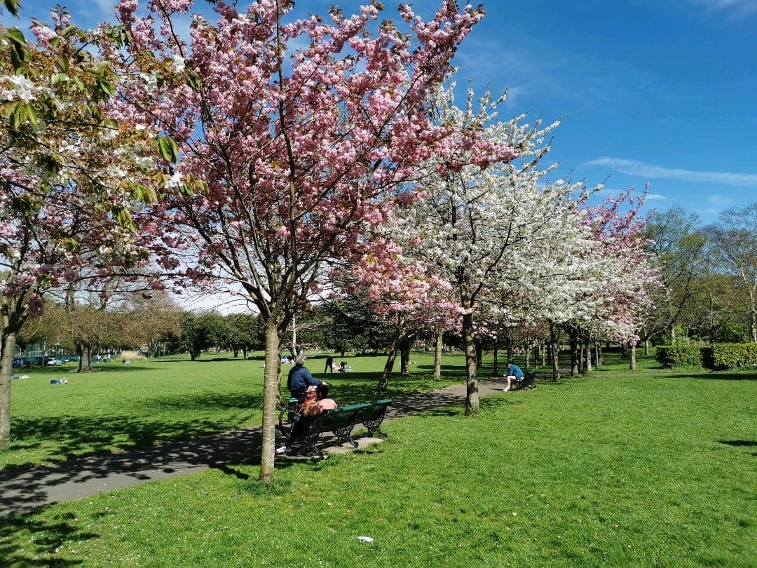 Herbert Park 13