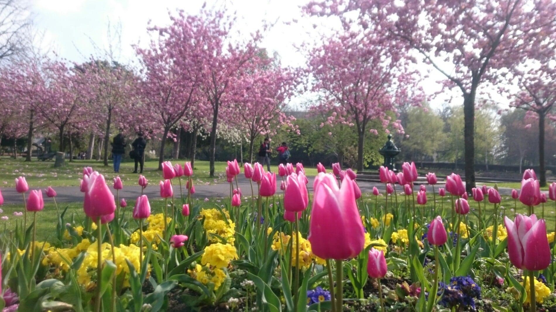 Herbert Park 12