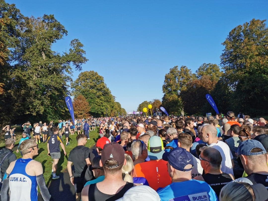 Phoenix Park 11
