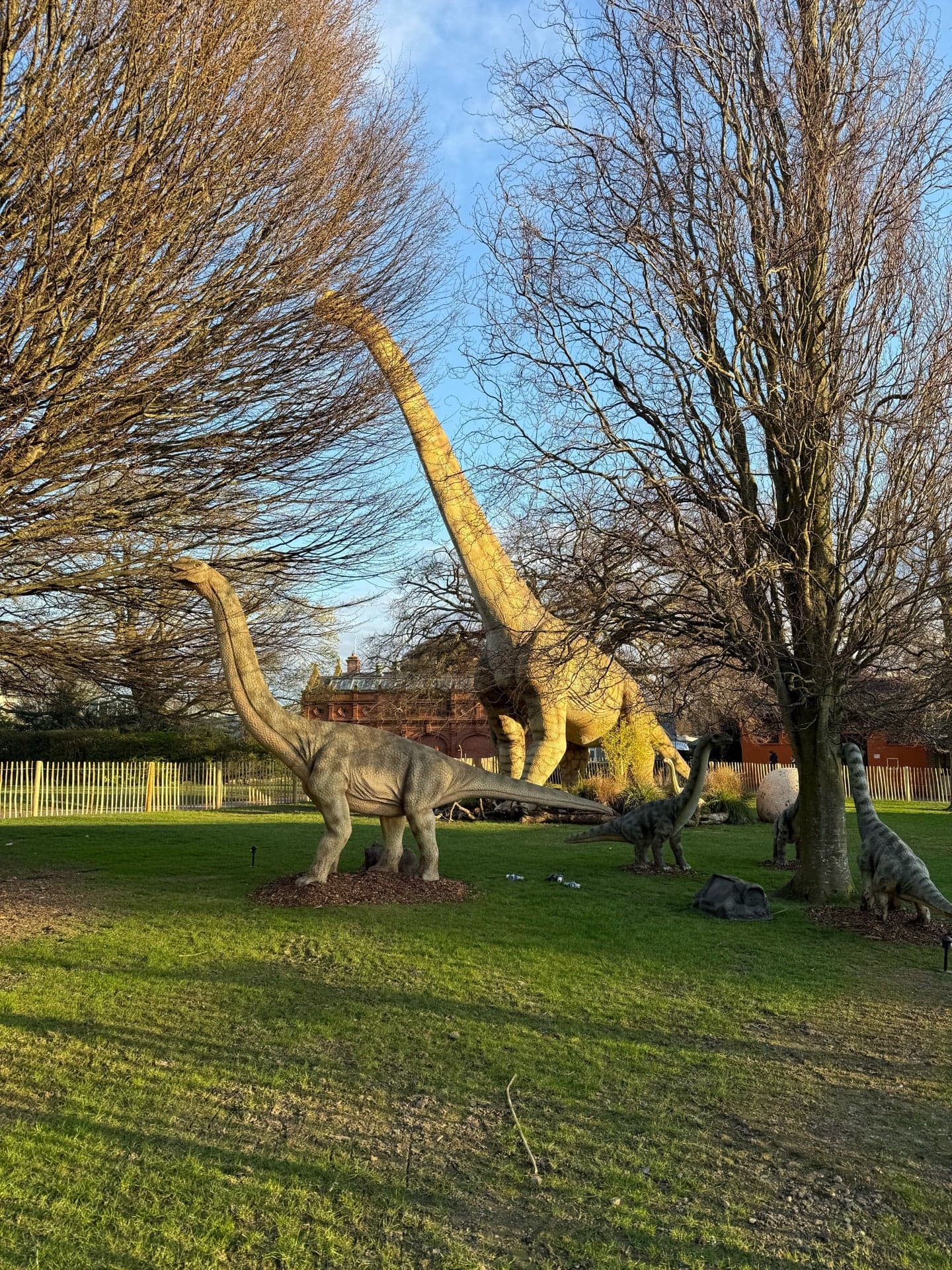 Dublin Zoo 4