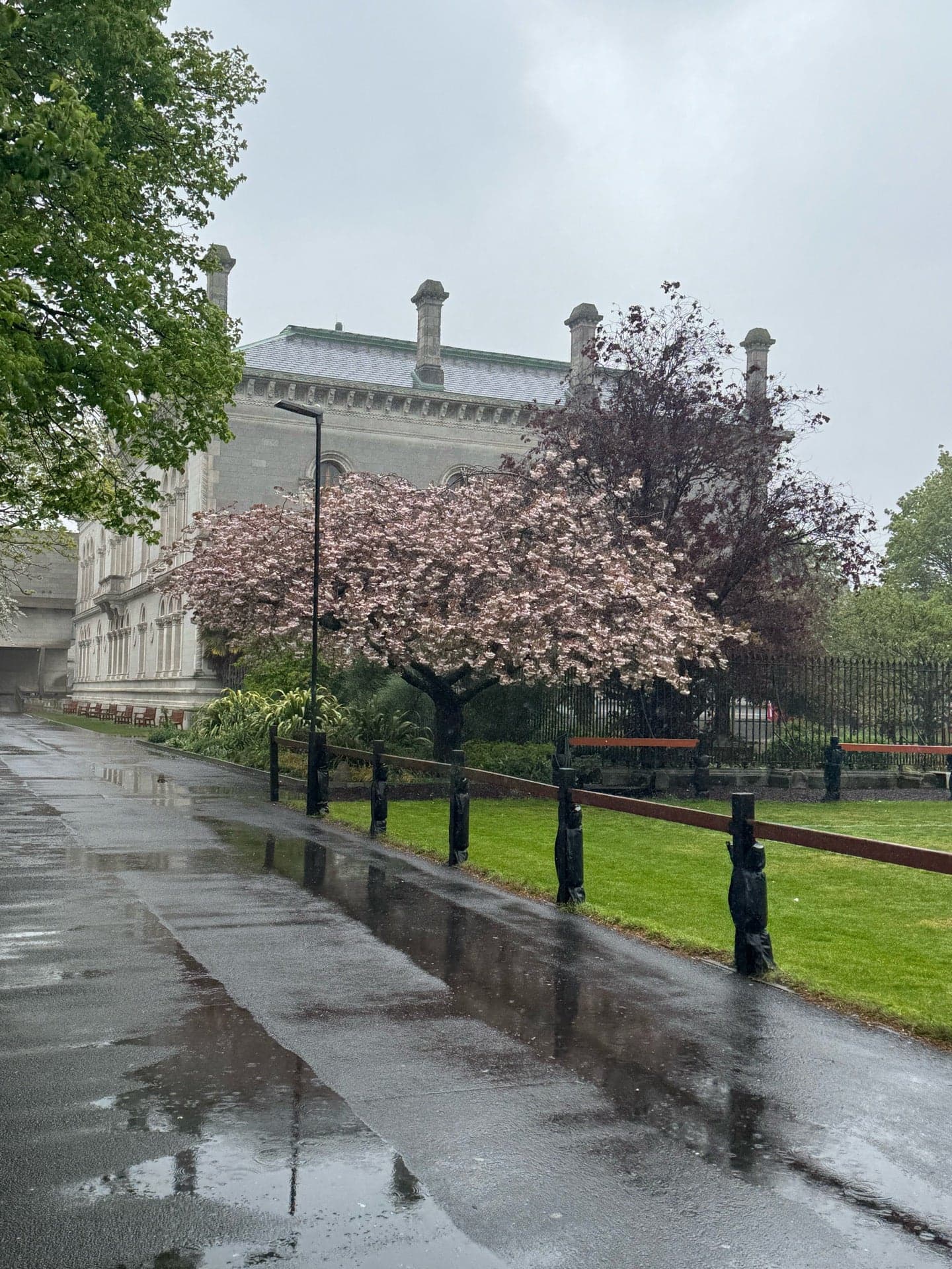 Trinity College 12