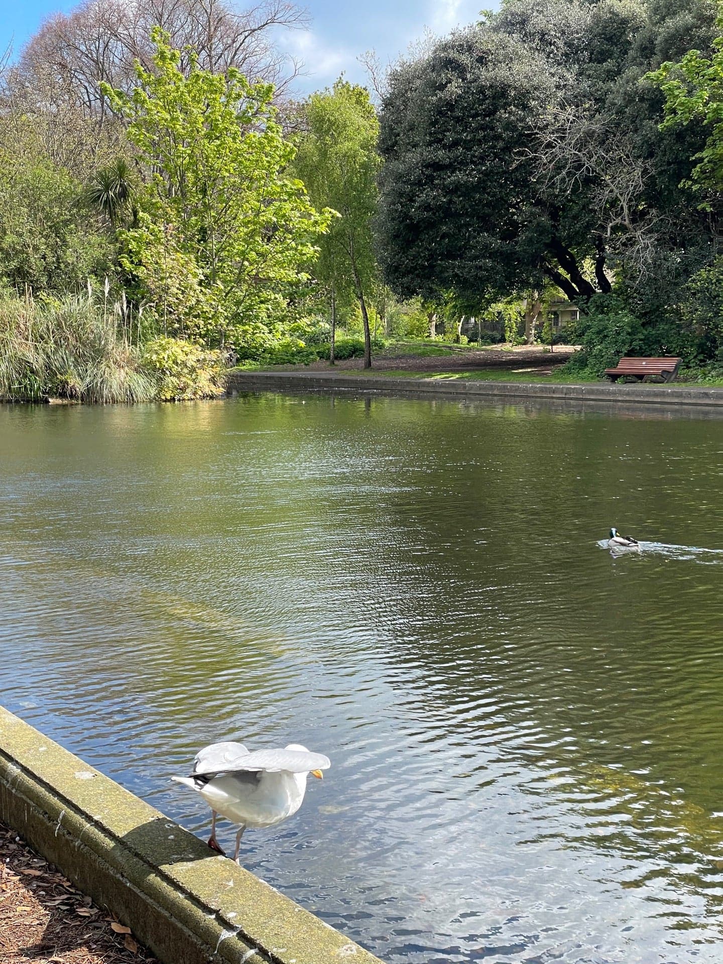 Herbert Park 8