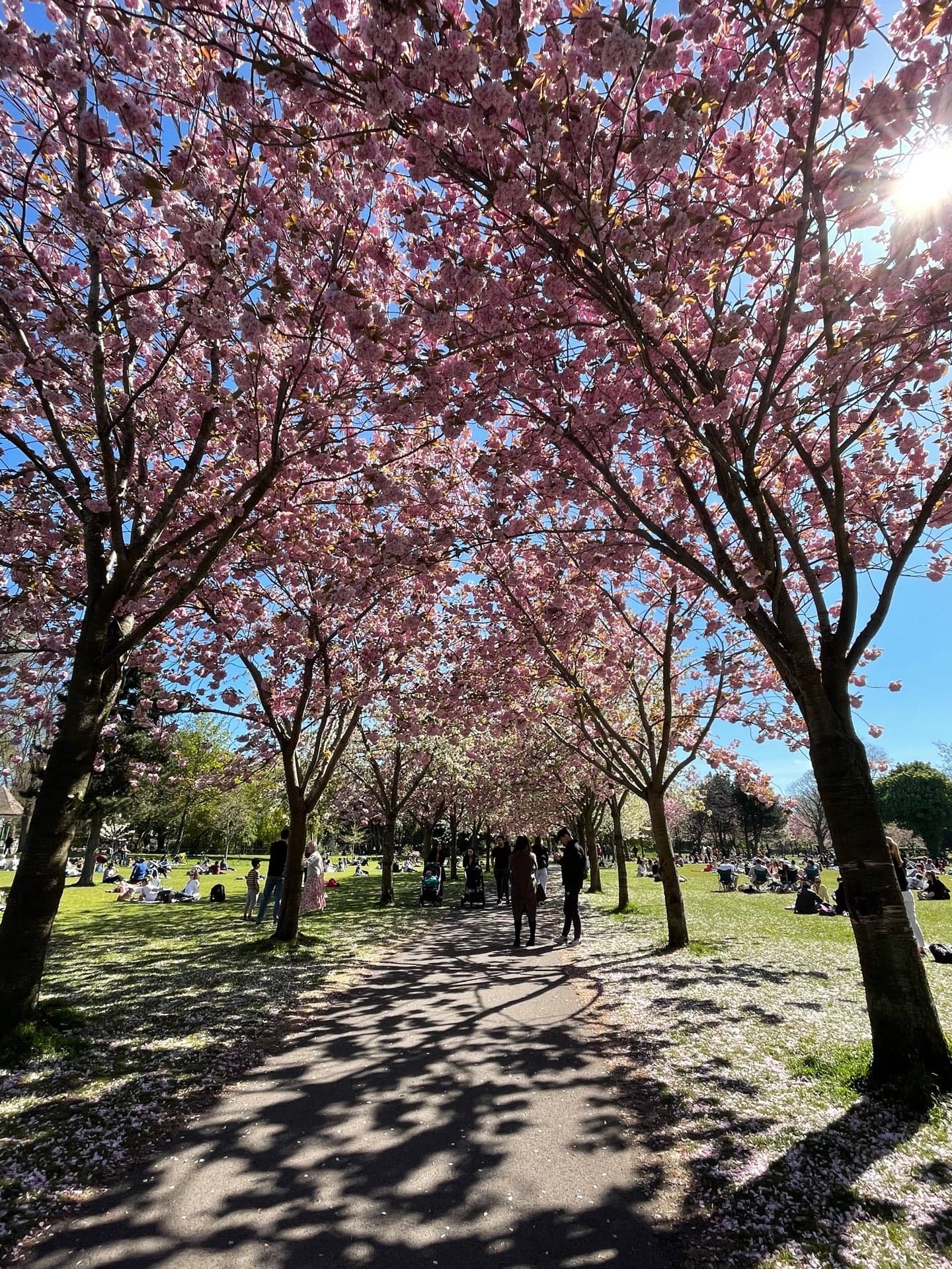 Herbert Park 9
