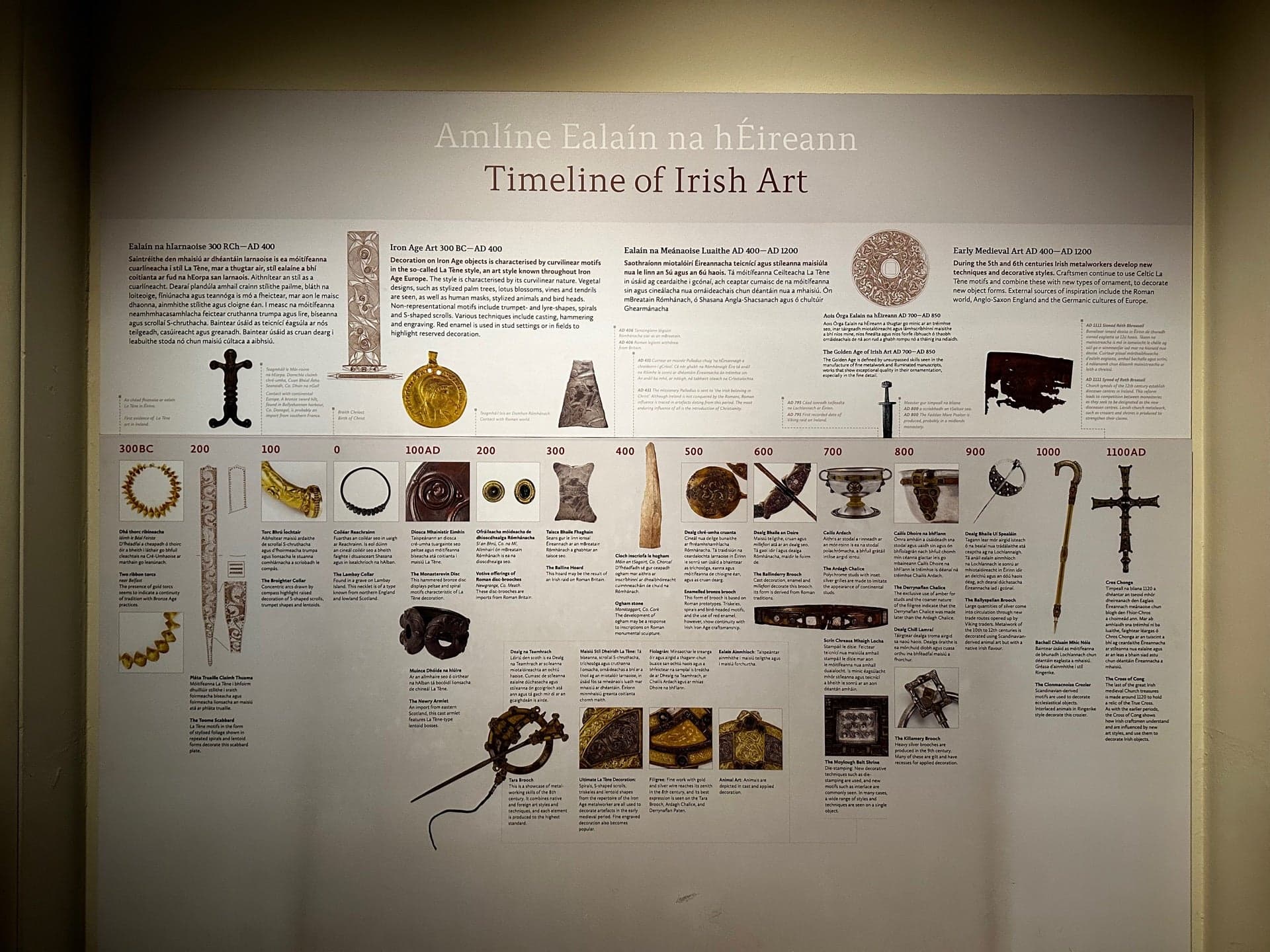 National Museum of Ireland - Kildare Street 15