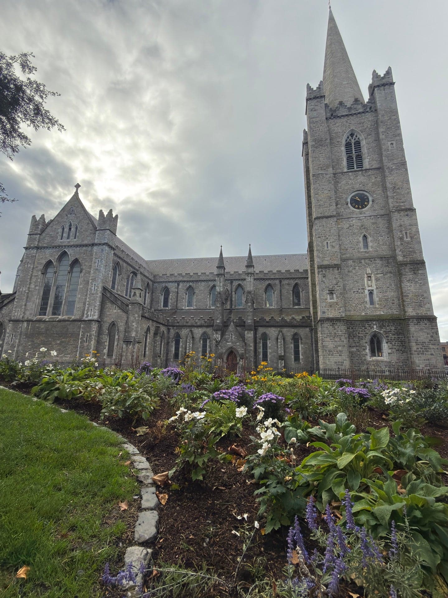 St Patrick's Cathedral 7