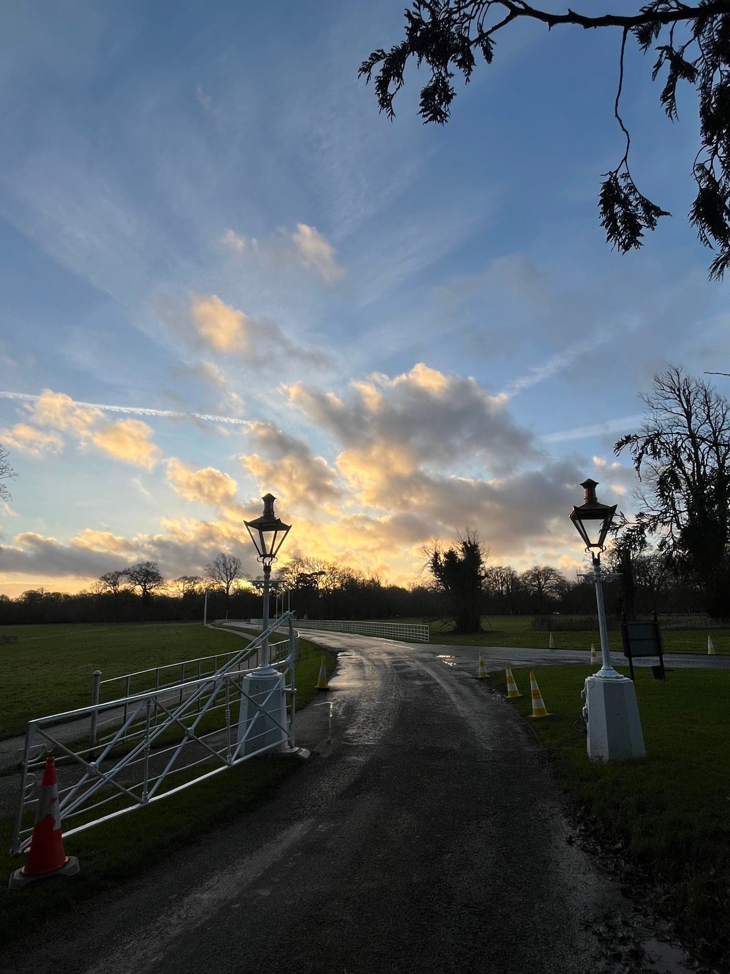 Phoenix Park 2