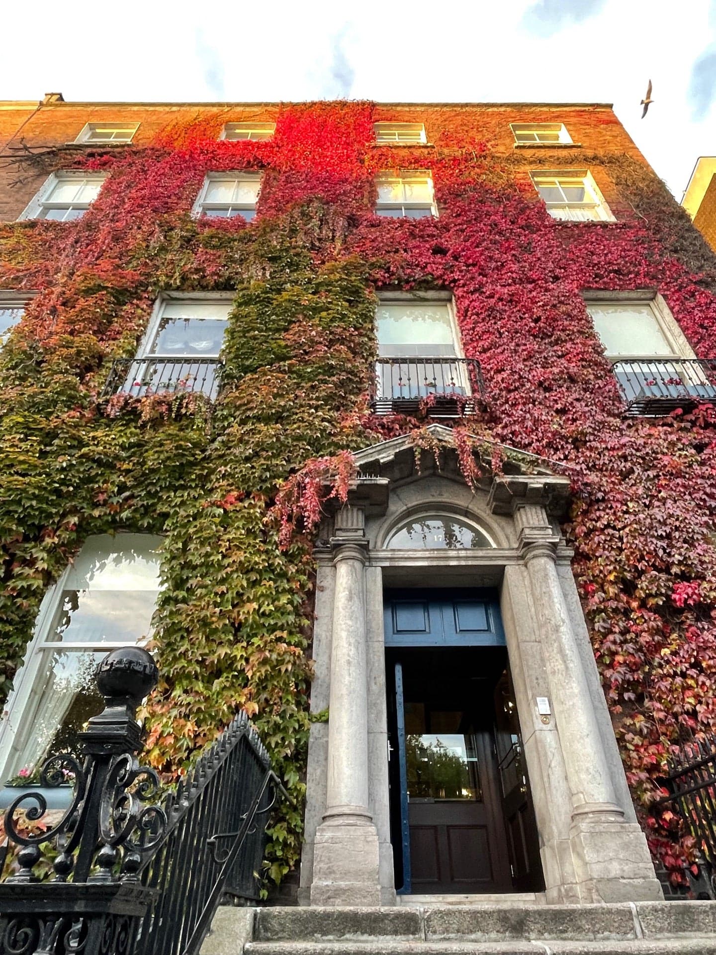 Dublinia 11