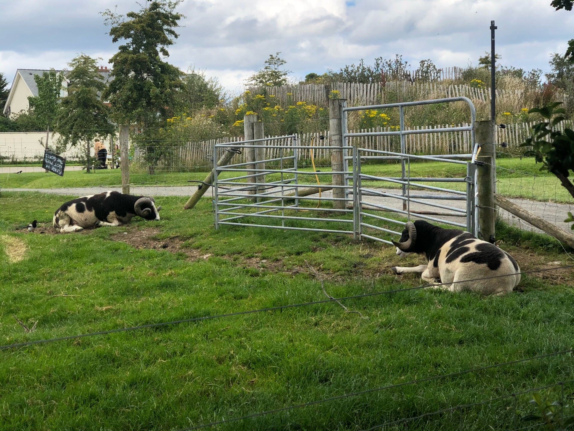 Airfield Estate 3