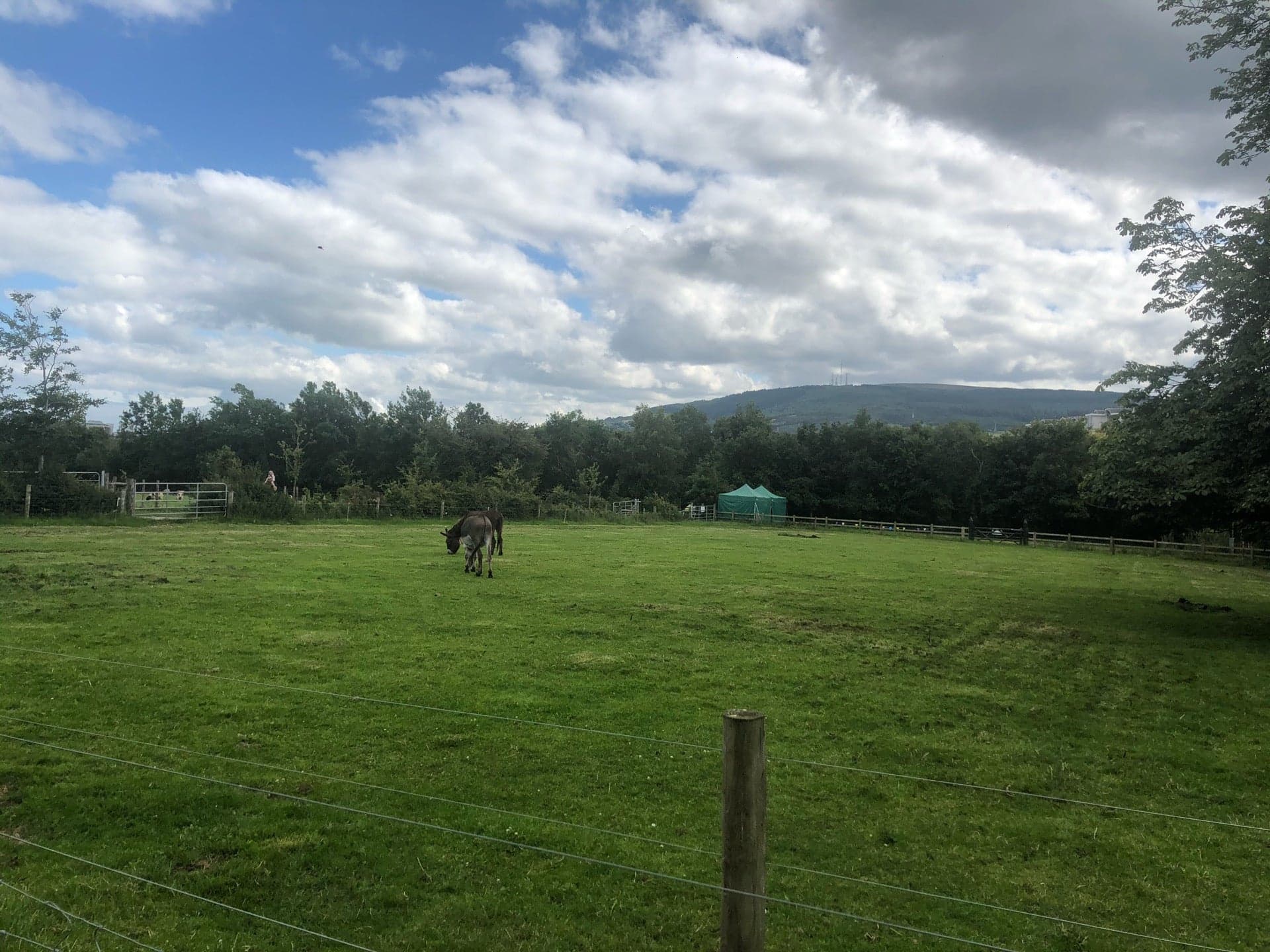 Airfield Estate 7