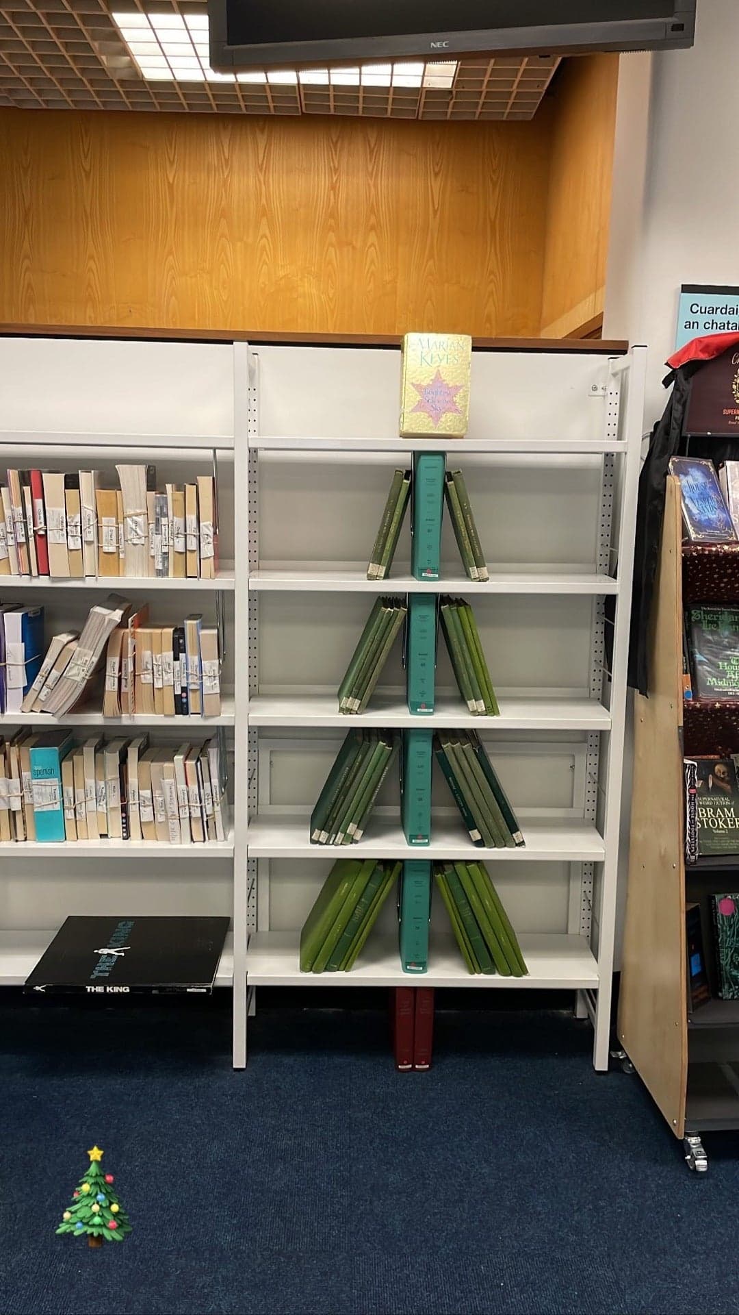 Central Library 3