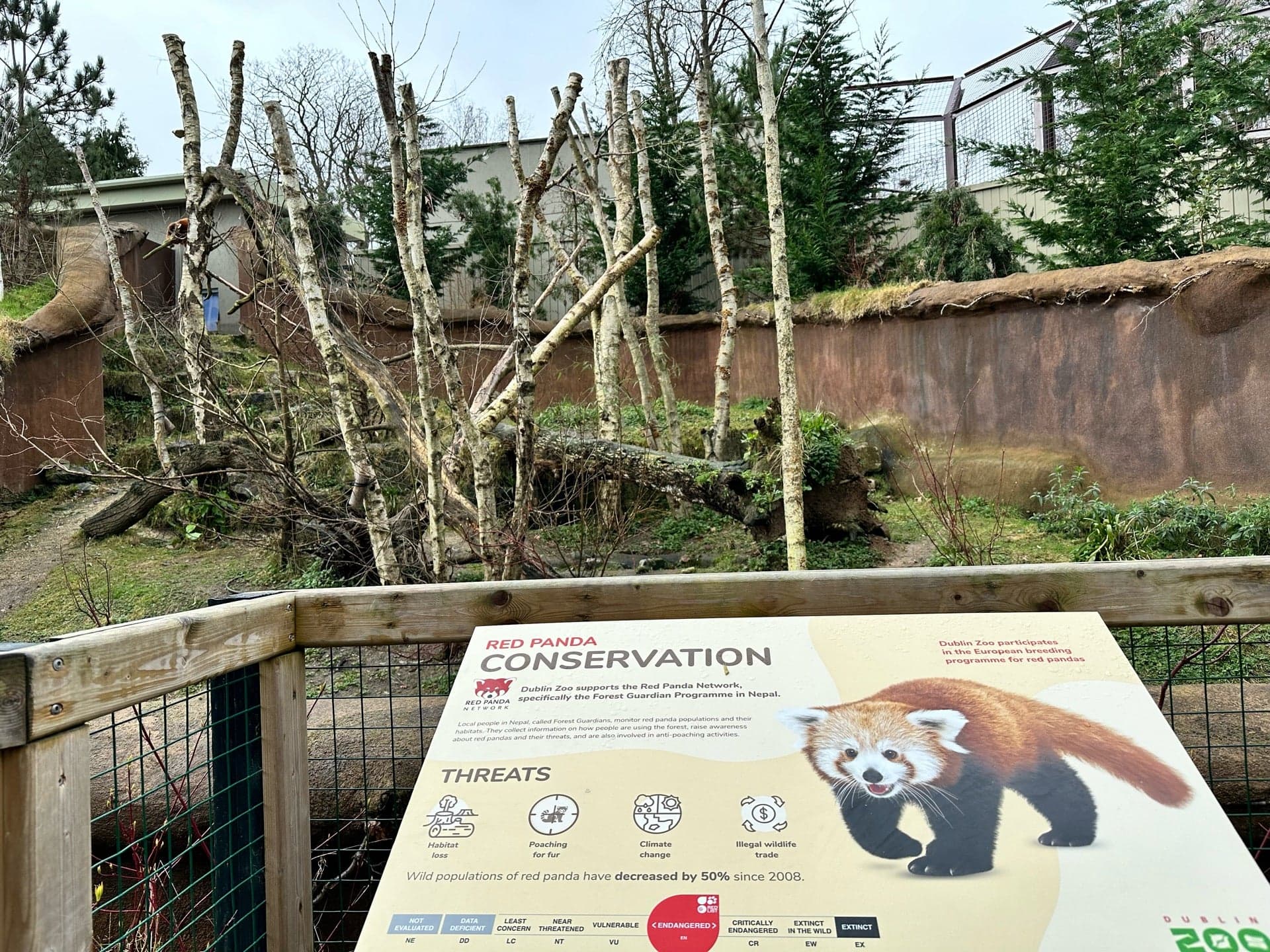 Dublin Zoo 12