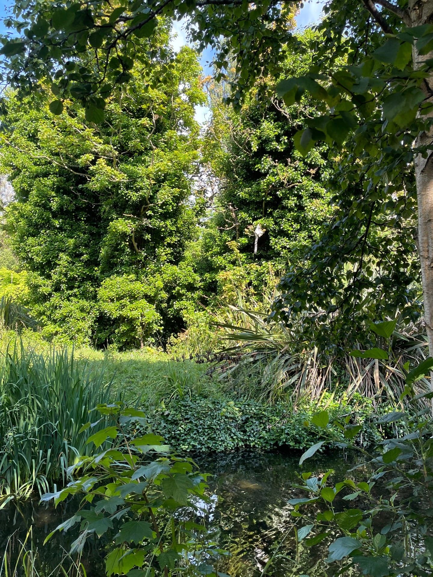 Dublin Zoo 10