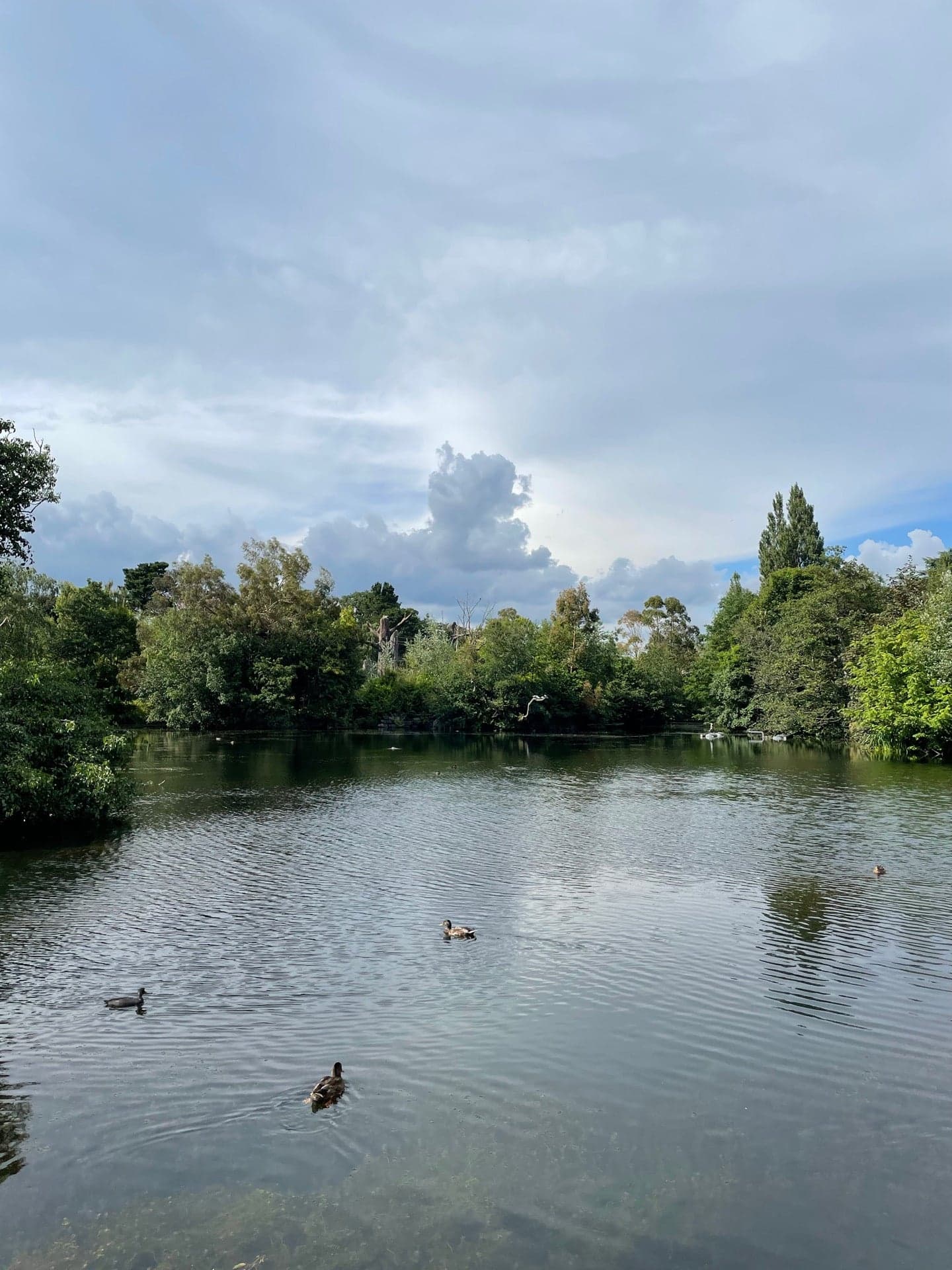 Dublin Zoo 9