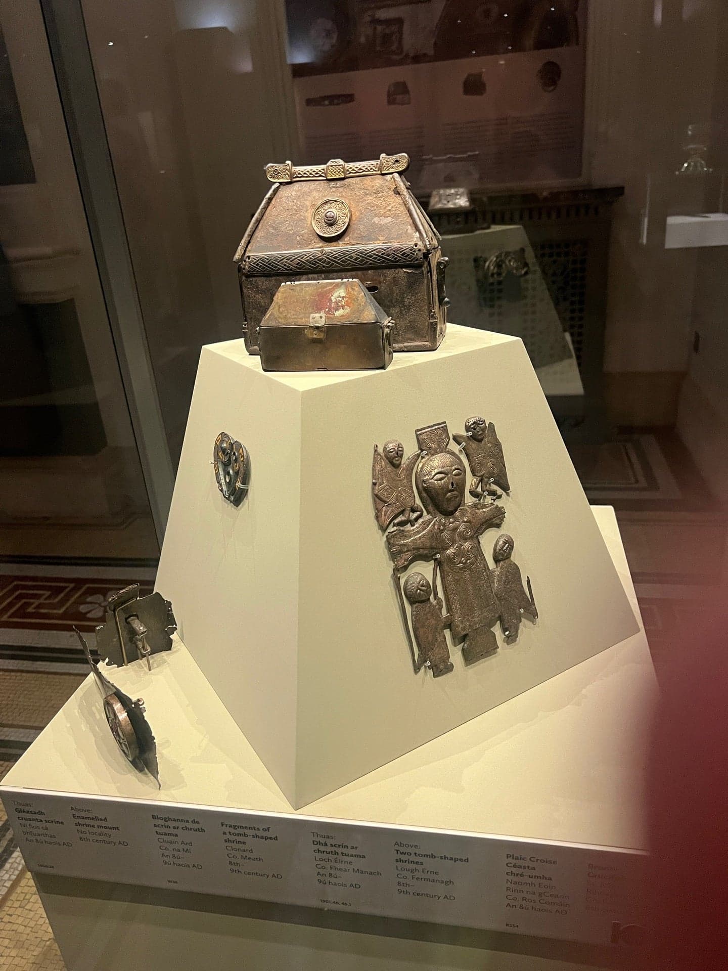 National Museum of Ireland - Kildare Street 13