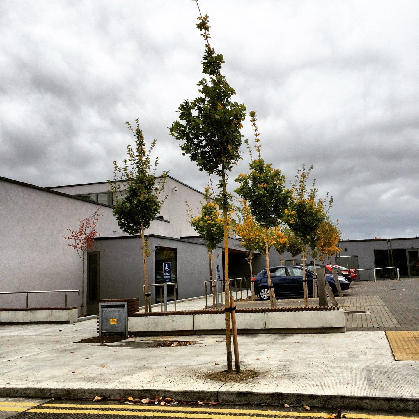 Ballyroan Library 6