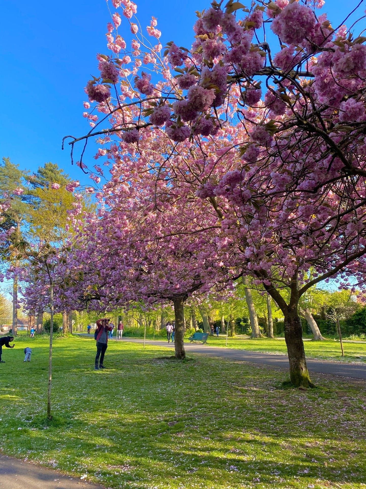 Herbert Park 10