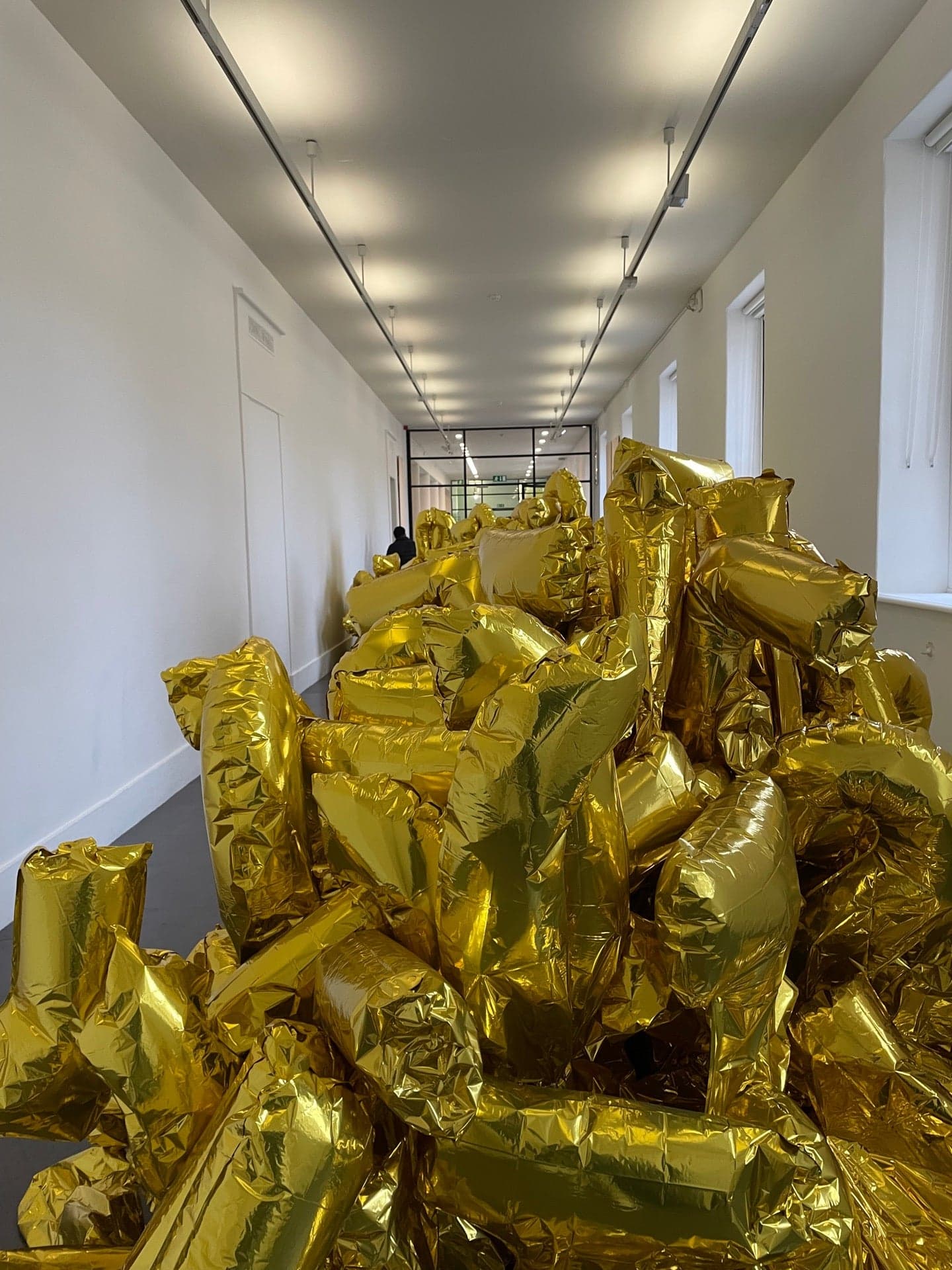 Irish Museum of Modern Art (IMMA) 12
