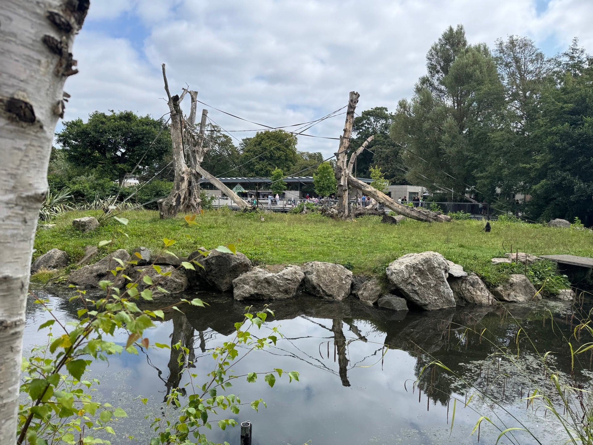 Dublin Zoo 3