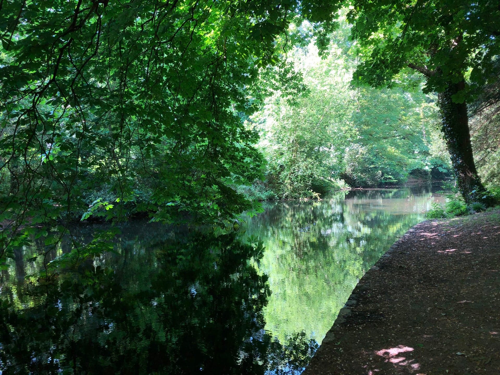 Bushy Park 3