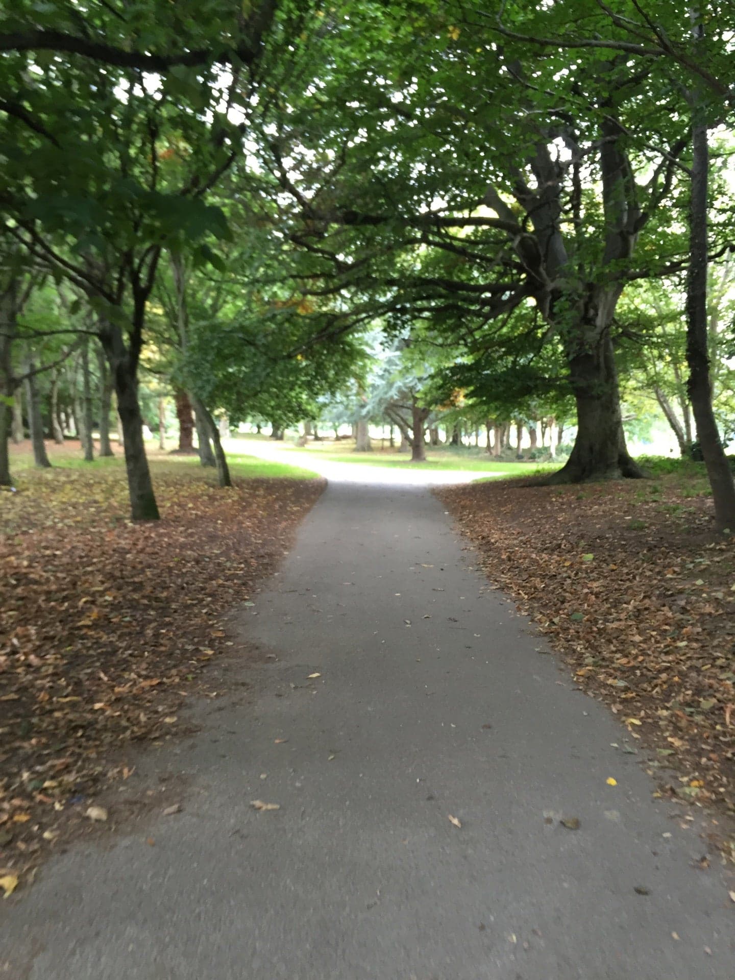 Marlay Park 2