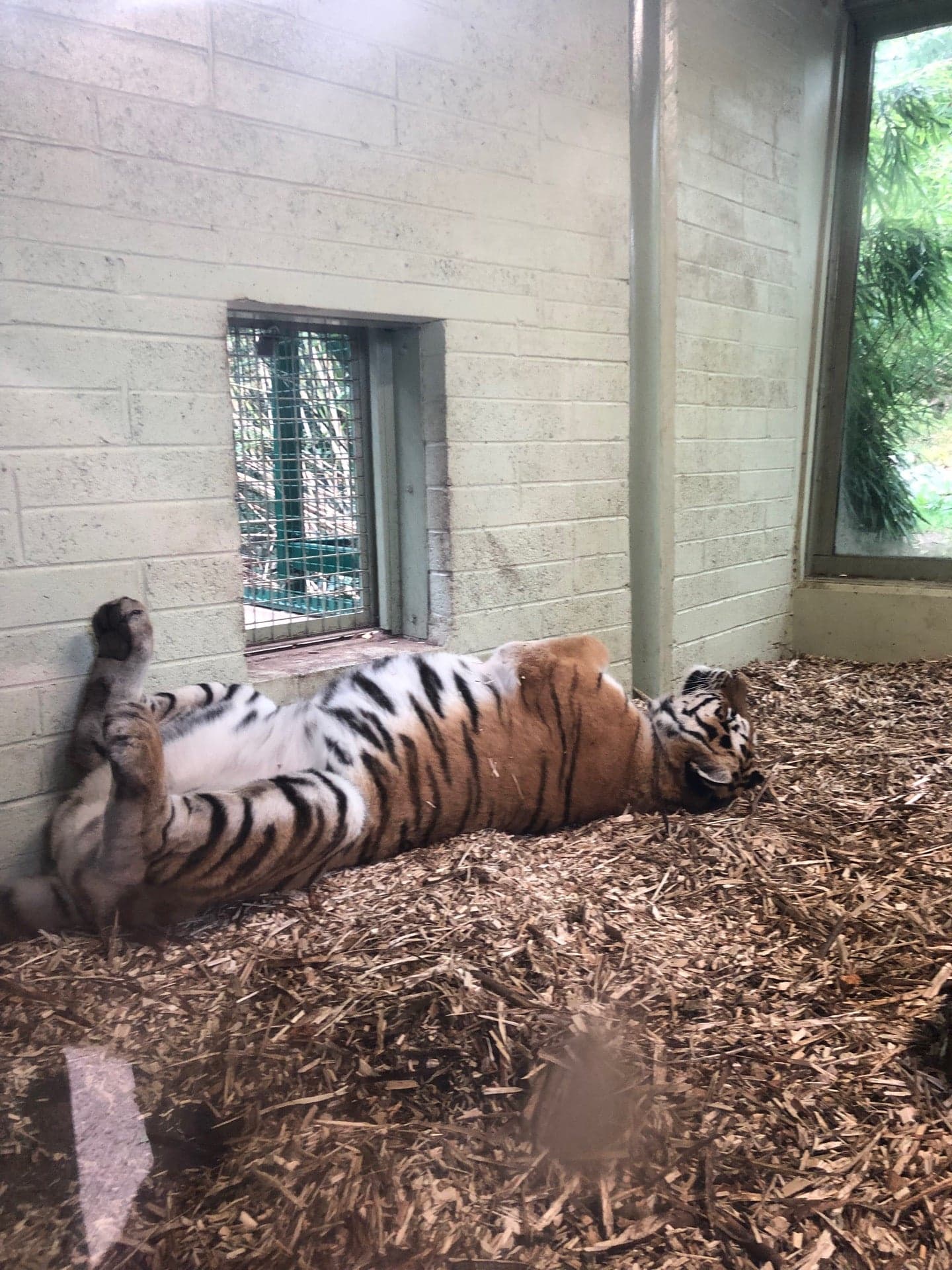 Dublin Zoo 5