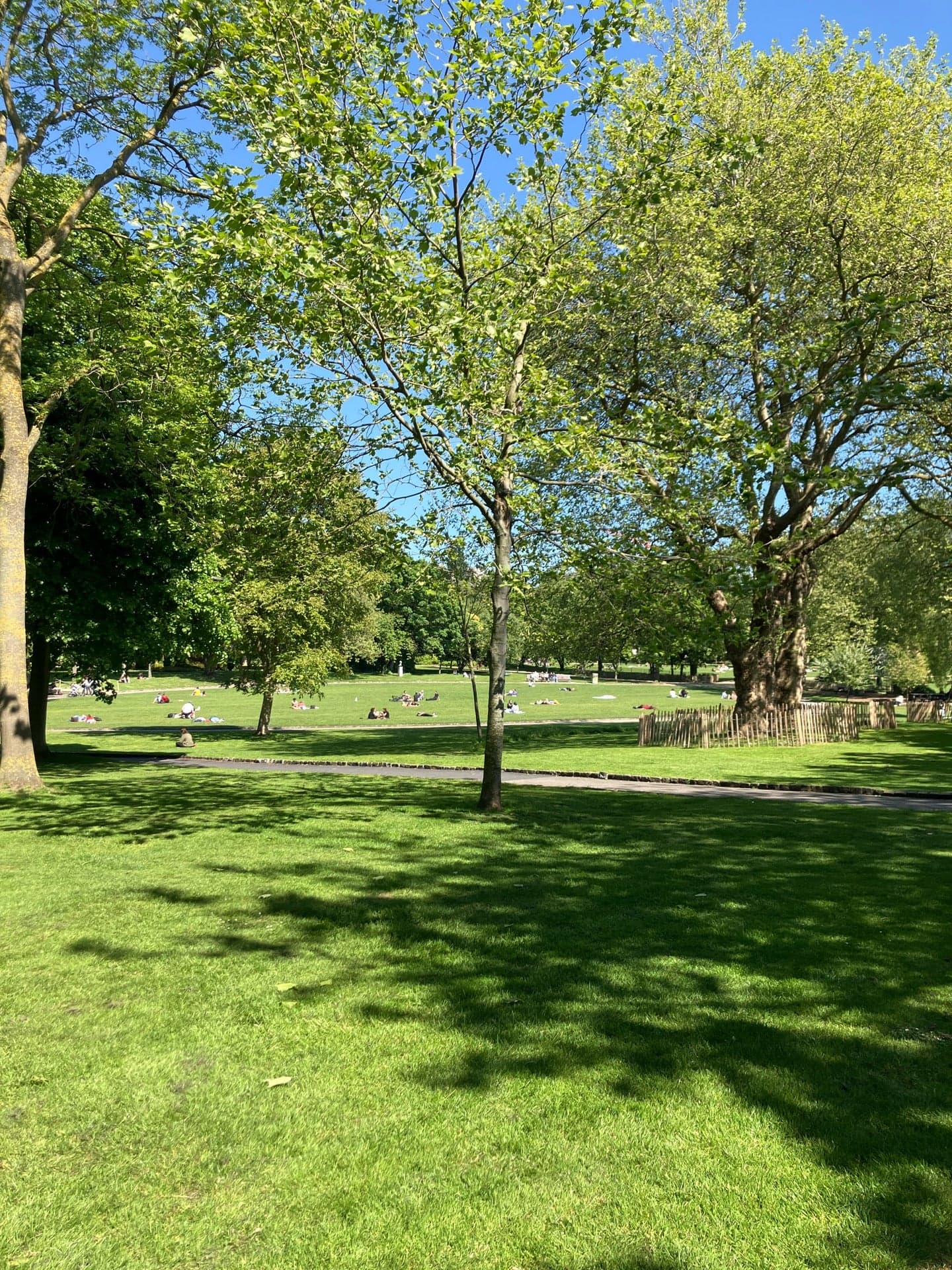 Merrion Square Park 4