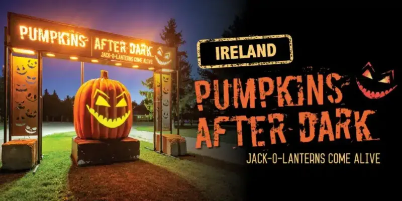 Pumpkins After Dark 1