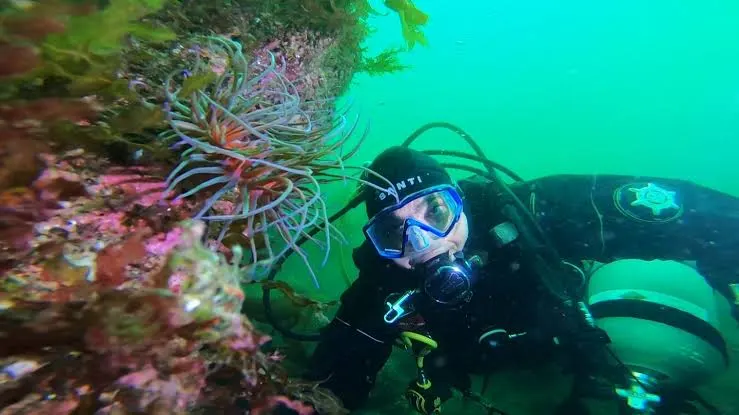 The Magic Beneath the Waves 1